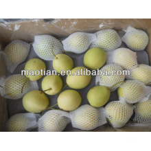 Fresh Shandong Pear New Season Crop